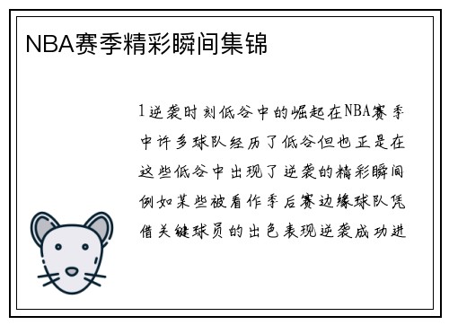 NBA赛季精彩瞬间集锦